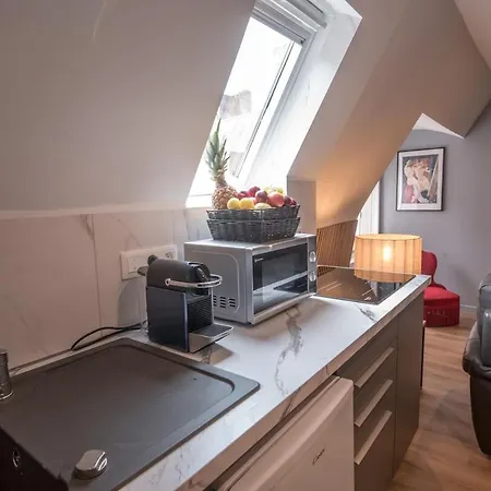 Le Nid Angevin Apartament Angers